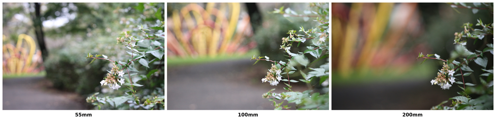 F5.6で撮影した同じ花を、55mm・100mm・200mmの順に並べた比較画像。焦点距離が長くなるにつれて背景の遊具の輪郭がぼけ、遊具が画面内で大きく写っている。