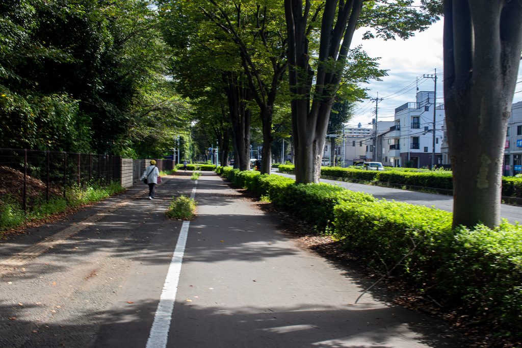 EF-S24mmで撮影した木立の中を奥へ続く道路