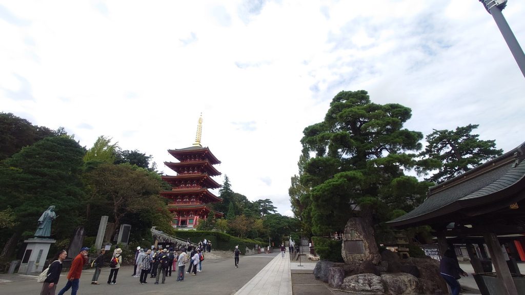 五重塔や境内を広く撮影し右上から街灯が入り込んだ高幡不動尊の風景